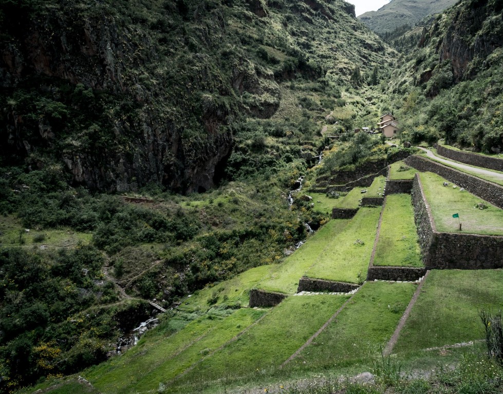 grassy steps in pisac peru