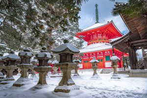 Read more about the article Experiencing Christmas in Japan: A 13-Day Journey