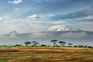 Read more about the article A Comprehensive Guide to Your Unforgettable Vacation in Kenya