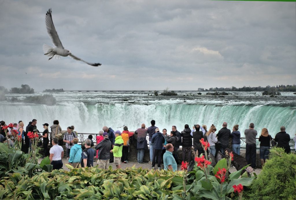 crowd niagara falls