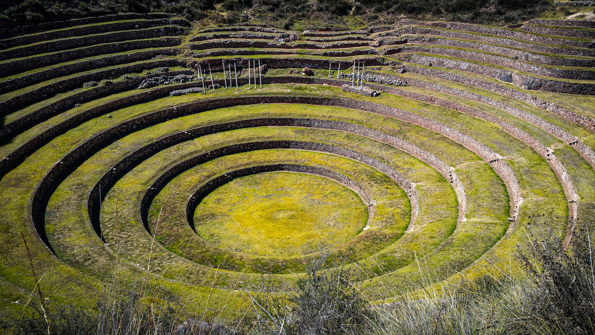 You are currently viewing Trekking Tales: A Cartoon Artist’s Inca Trail Express Adventure