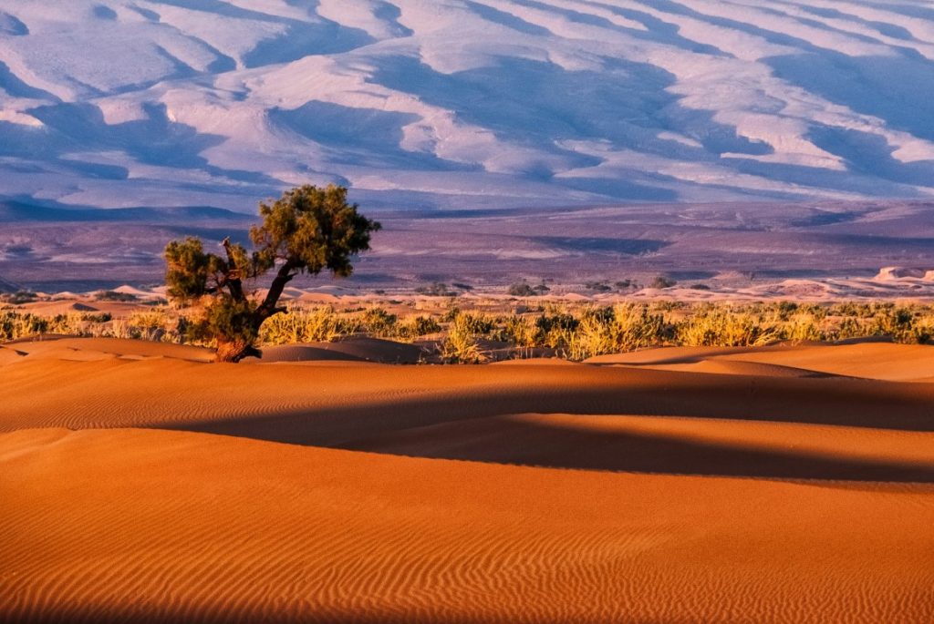 sahara morocco