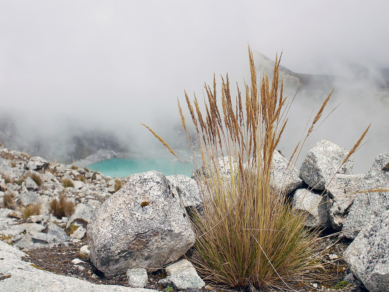 Read more about the article Slaying the Salkantay: My Odyssey Through Peru’s Majestic Heartland