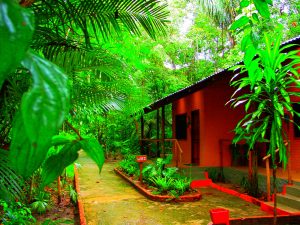 Read more about the article Discovering the Amazon: My Vacation to the Heart of Peru