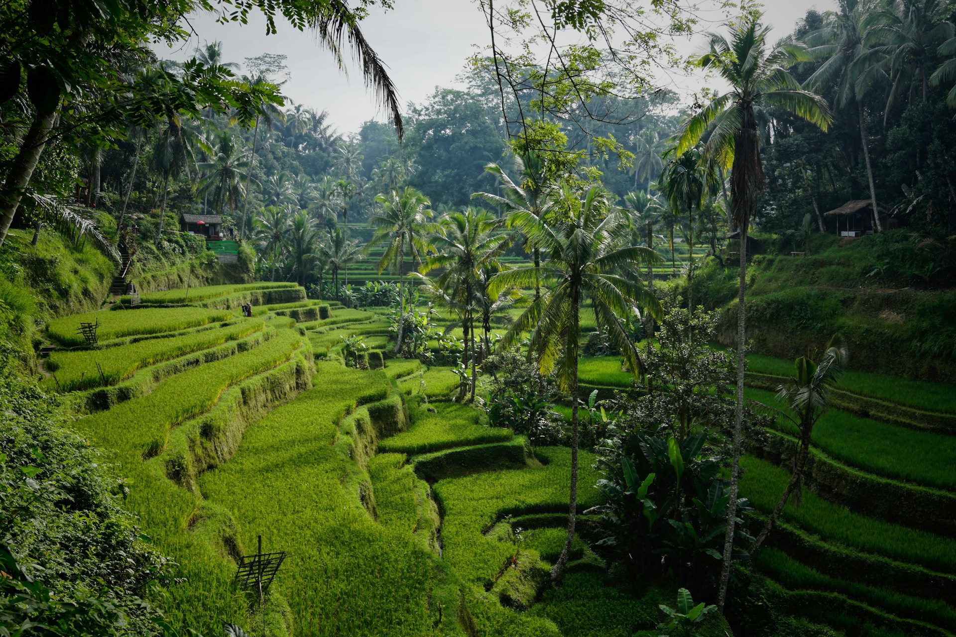 You are currently viewing Balinese Bliss: How Bali’s Spiritual and Cultural Charms Create Transformational Journeys