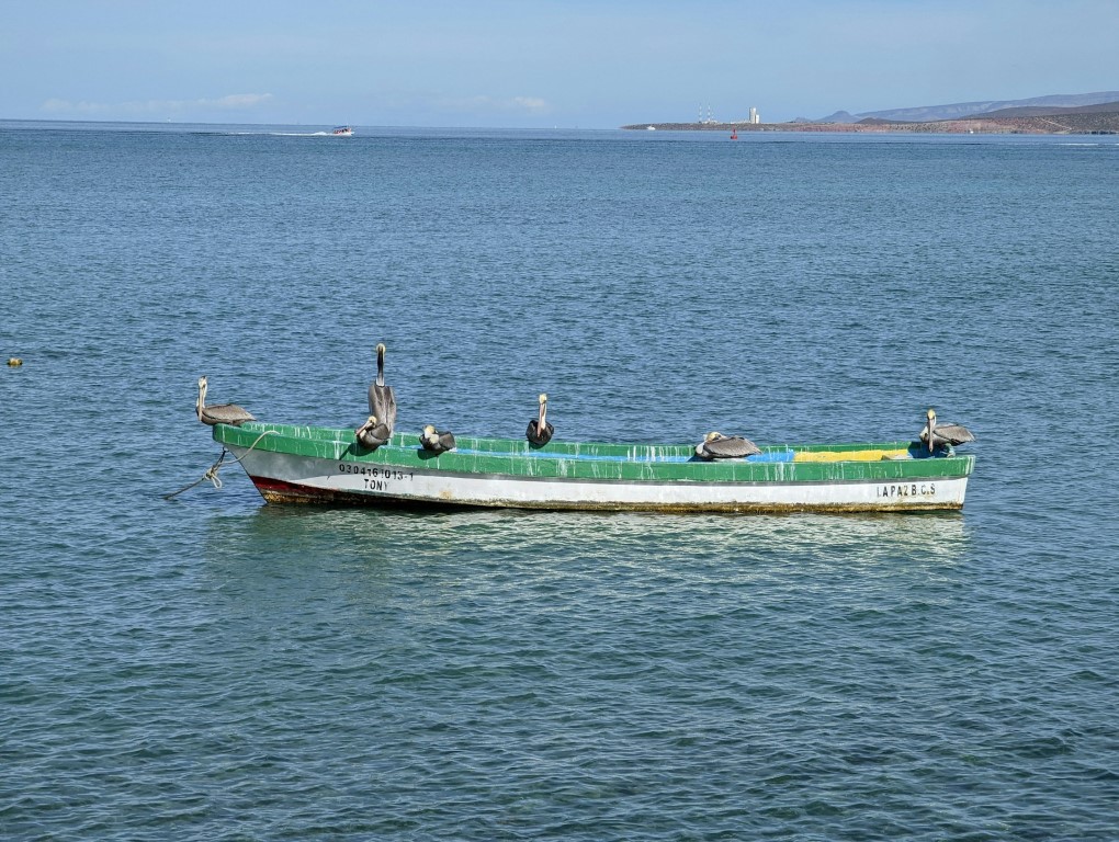 la paz mexico