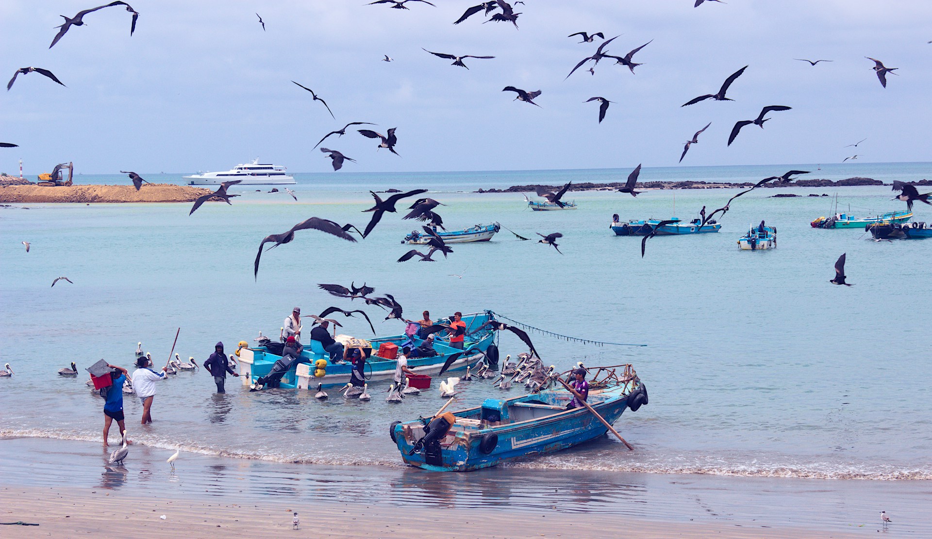 You are currently viewing Group Travel in Ecuador: Rainforest Adventures and Vibrant Andean Landscapes, 9D/8N Itinerary