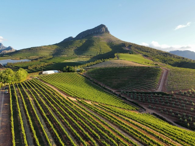Stellenbosch, Südafrika