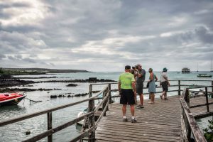 Read more about the article Exploring the Enchanted Isles: My Family Adventure to the Galapagos
