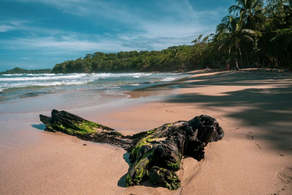 limon beach costa rica