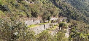 Read more about the article My Choquequirao Trek with New Friends: Adventure, Friendship, Discovery