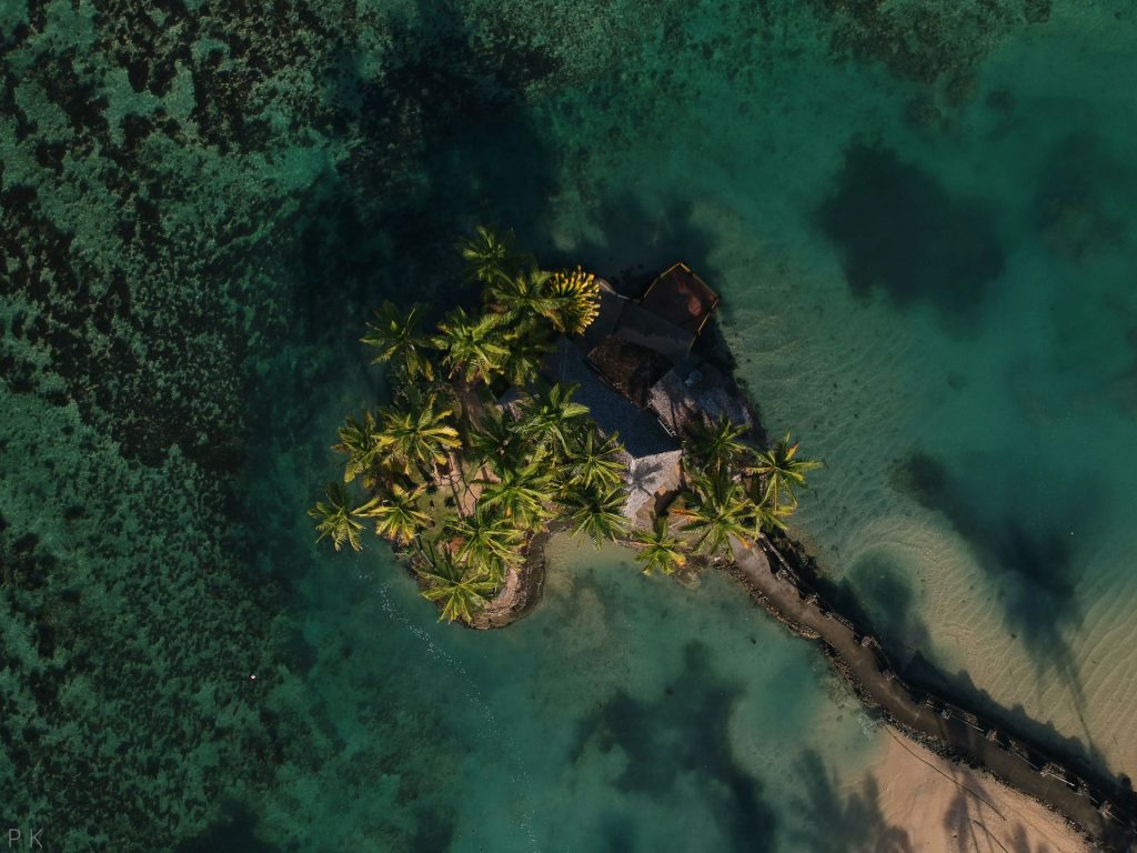 warwick fiji overhead