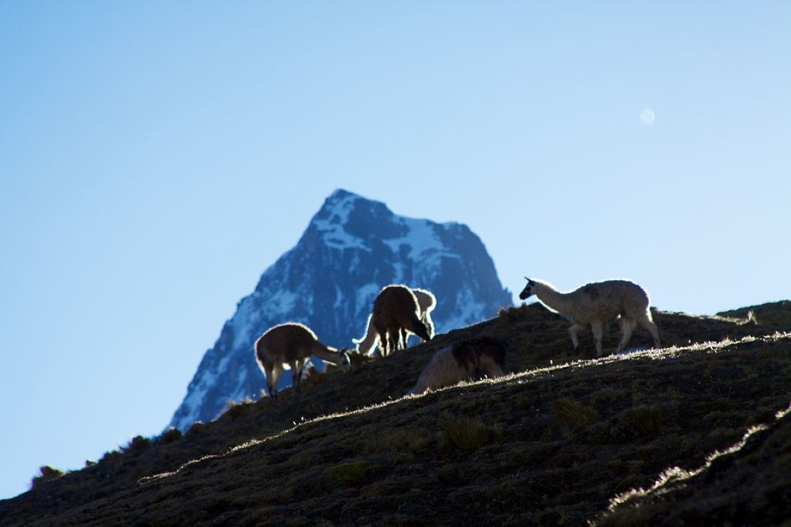 Read more about the article Embracing Nature and Tradition: My Inspiring Lares Trek to Machu Picchu