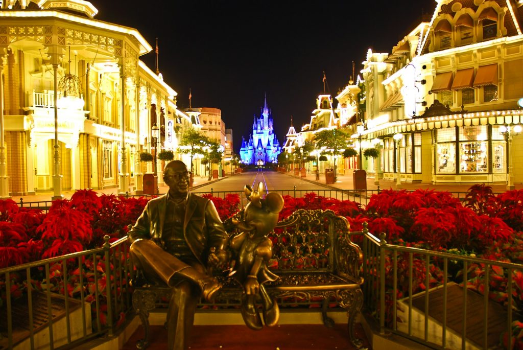 magic kingdom park, florida