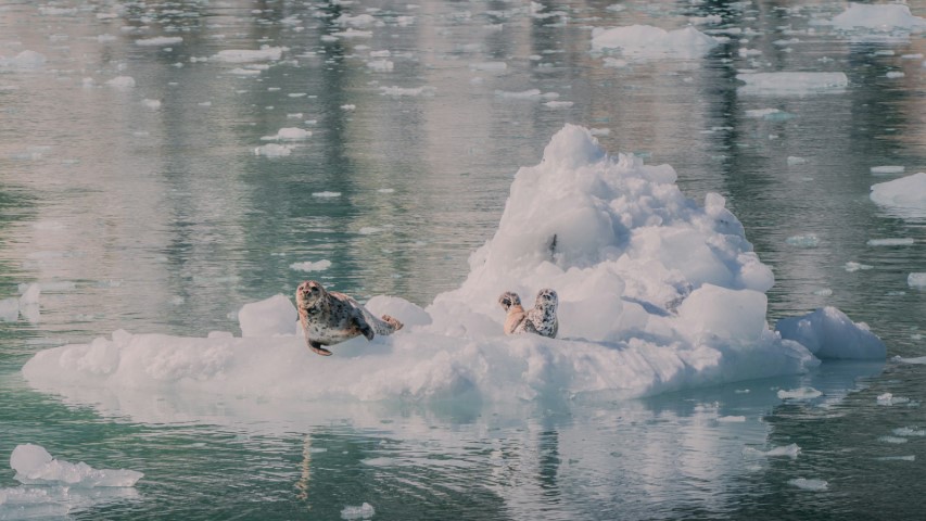 seward alaska
