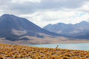 Read more about the article Chile Travel FAQs: Your Ultimate Guide to Exploring the Land of Extremes