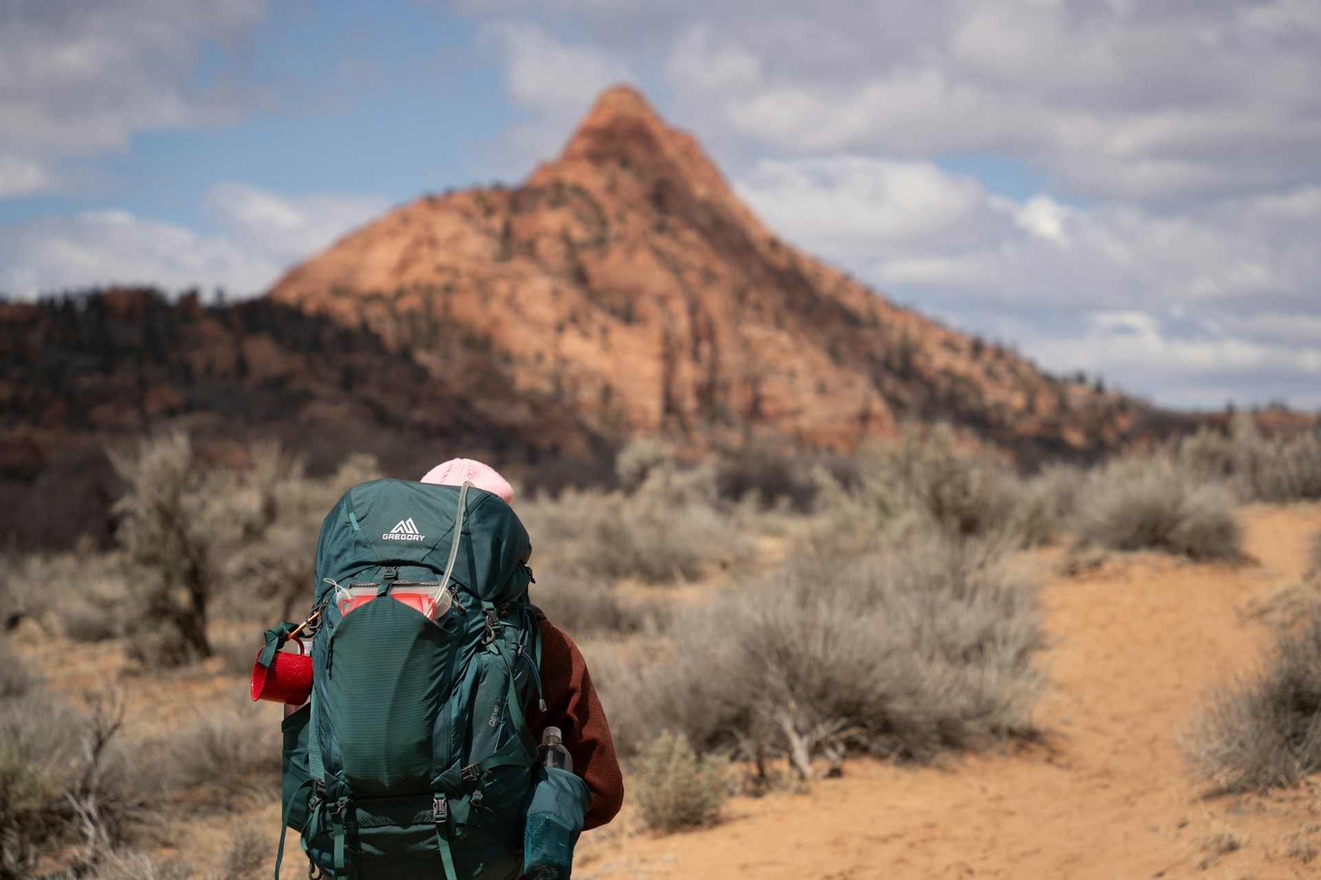 Read more about the article How to Find Jobs Across America As A Backpacker