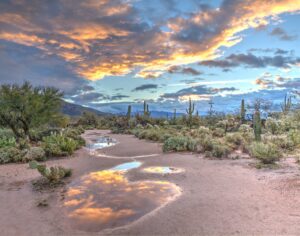 Read more about the article Creating the Ideal Relaxation Experience in Arizona