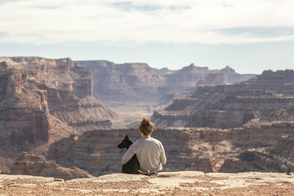 dog on cliff