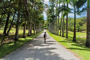 Read more about the article The Top 25 Best Places to Travel in 2025