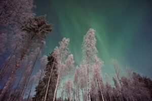 Read more about the article 7 Best Vacation Destinations to Feel the Christmas Spirit