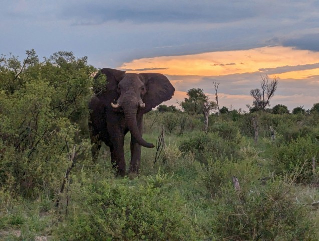 hwange zimbabwe