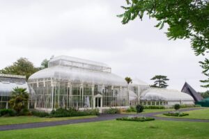 Read more about the article Day Trips from Dublin 2025: Glendalough, Wicklow Mountains, and More