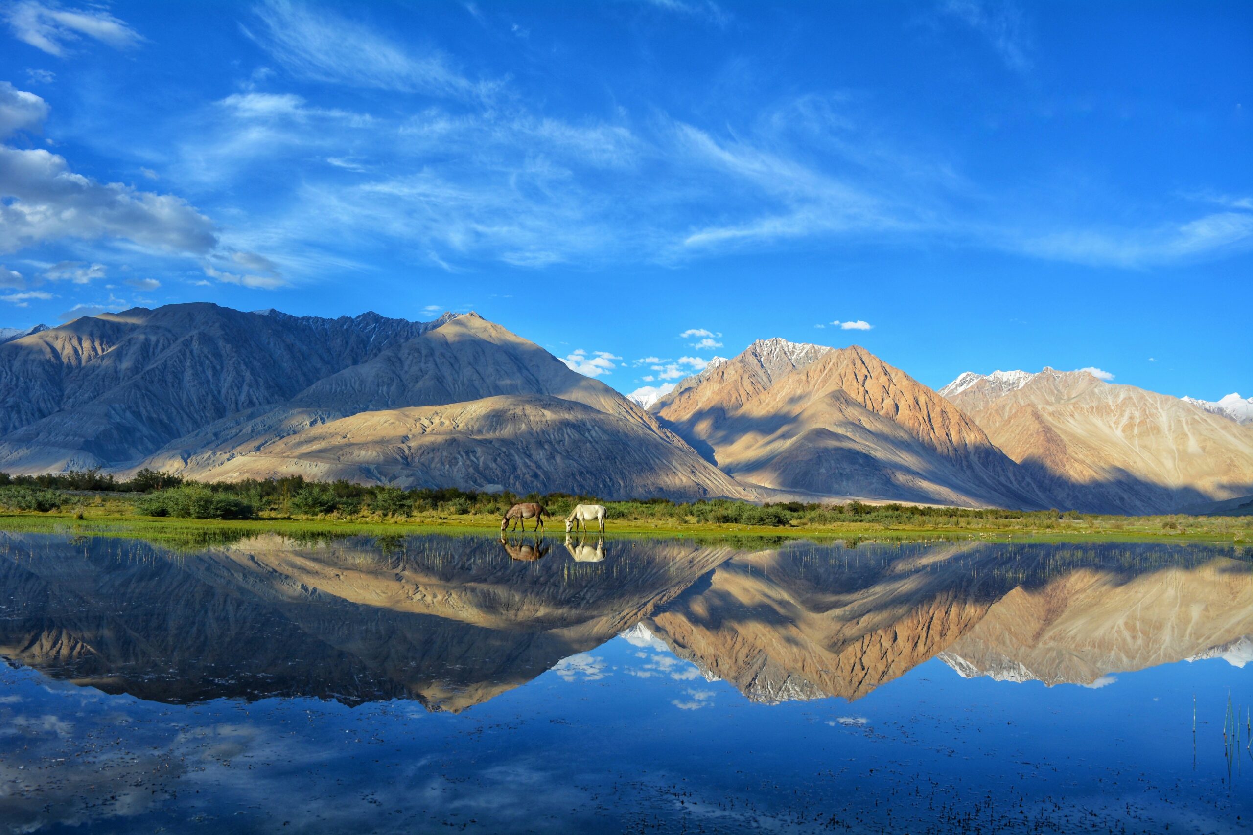 You are currently viewing Ladakh: India’s Mystical Land of High Passes