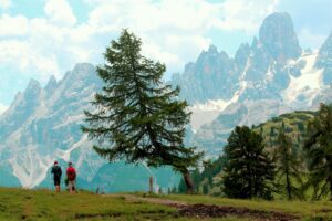 Read more about the article Chasing Peaks and Pasta: My Adventure in the Dolomites