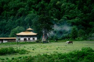 Read more about the article Best Natural Scenery Spots in Yunnan and Chengdu