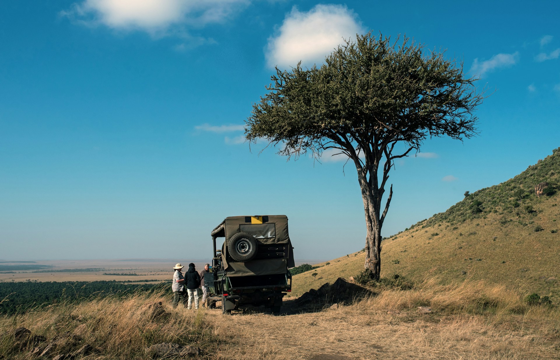 You are currently viewing Wild at Heart: My Unforgettable Safari in the Masai Mara