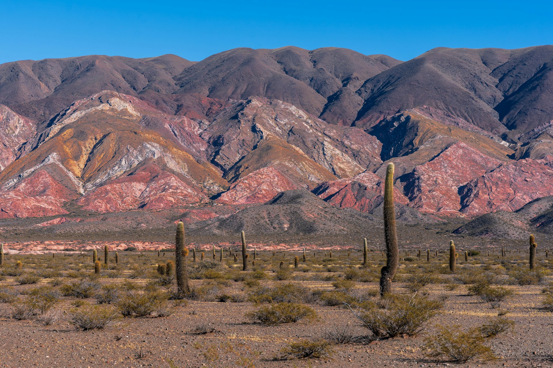You are currently viewing Exploring the Salta Desert: A Guide to Argentina’s Northern Gem