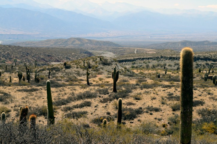 salta desert landscape