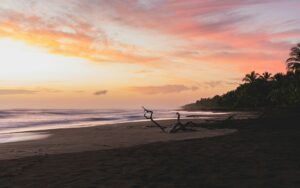 Read more about the article Pura Vida on the Sand: Discovering Costa Rica’s Best Beaches
