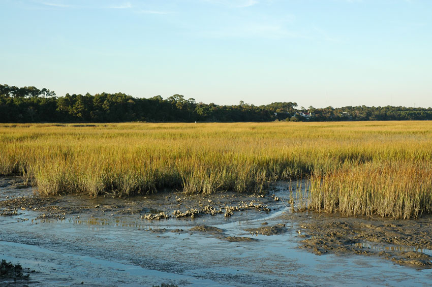 huntington beach state park