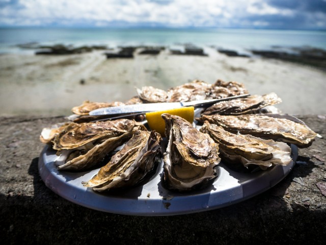 oyster platter