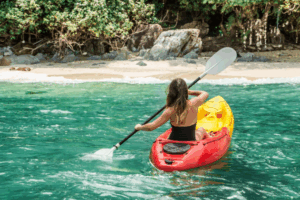 Read more about the article The Ultimate Guide to Fall Wildlife Adventures in Florida’s Nature Coast