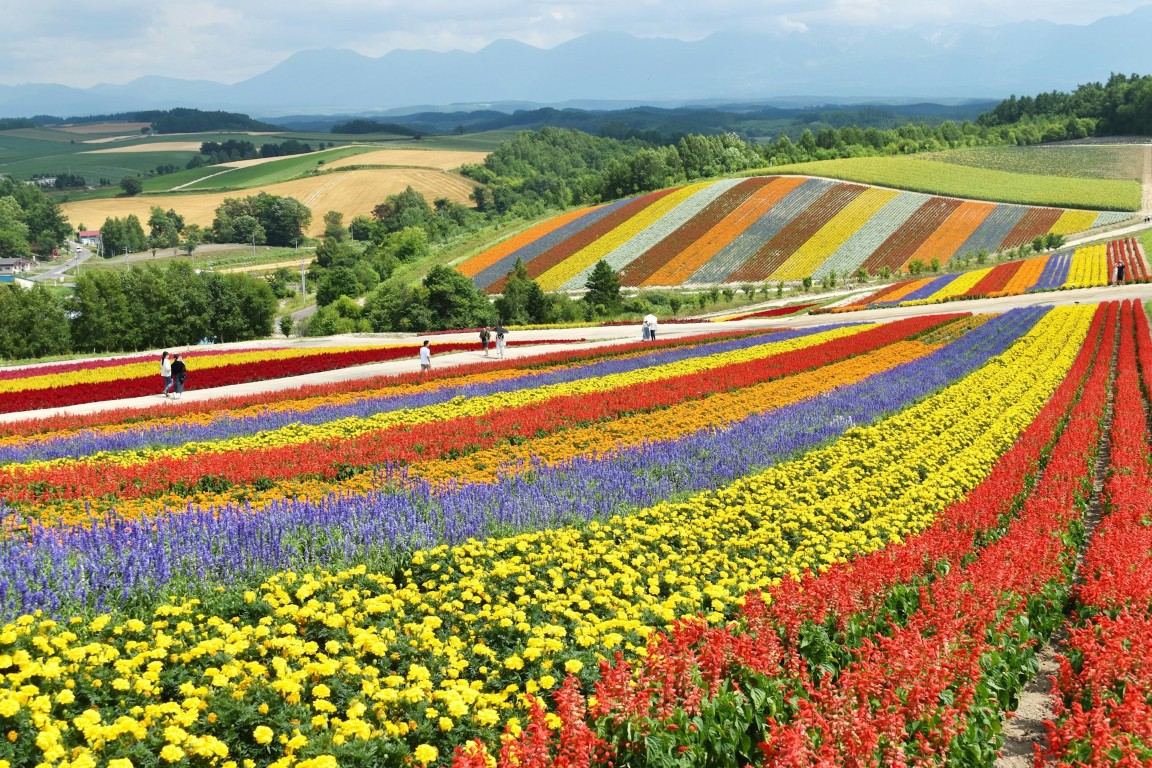 You are currently viewing Hokkaido: A Guide to Japan’s Northern Frontier