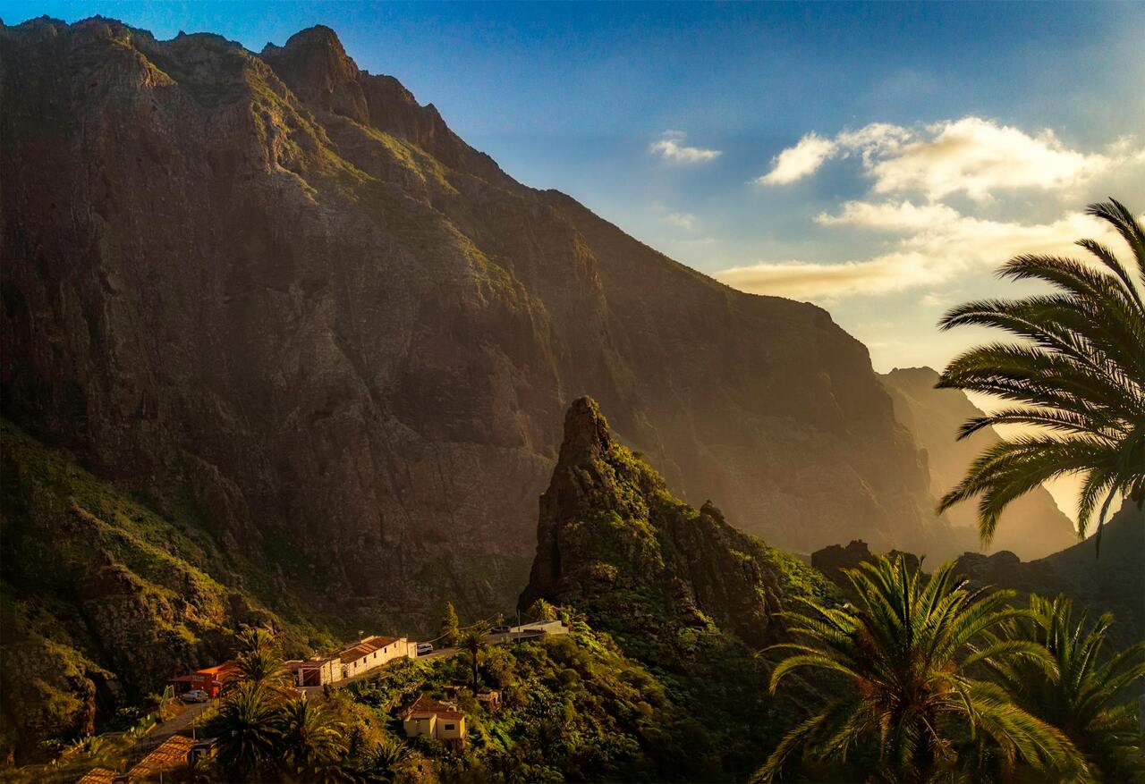 Read more about the article More Options than Ever for Ayahuasca Retreats in Europe