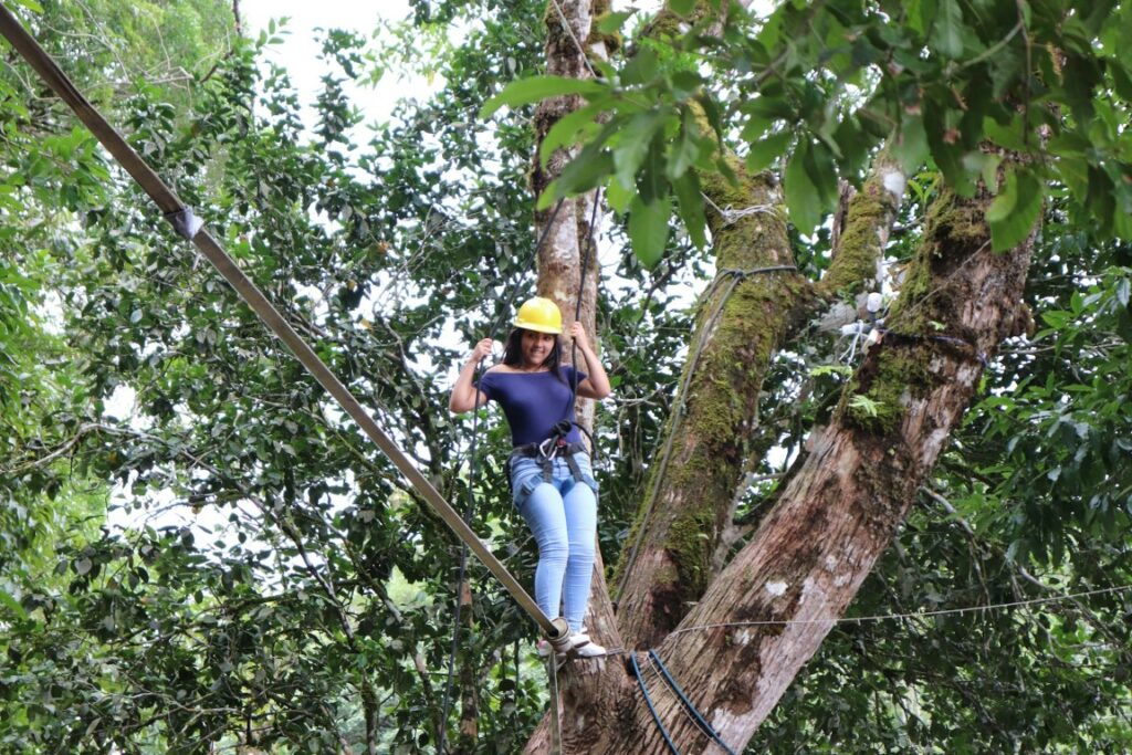 a woman up a tree going for a zipline in tierras altras panama