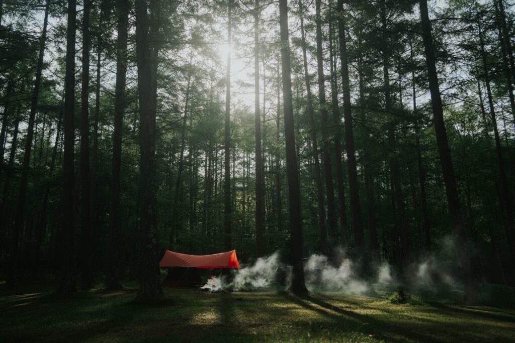 orange tent in the woods of nagano tokyo japan