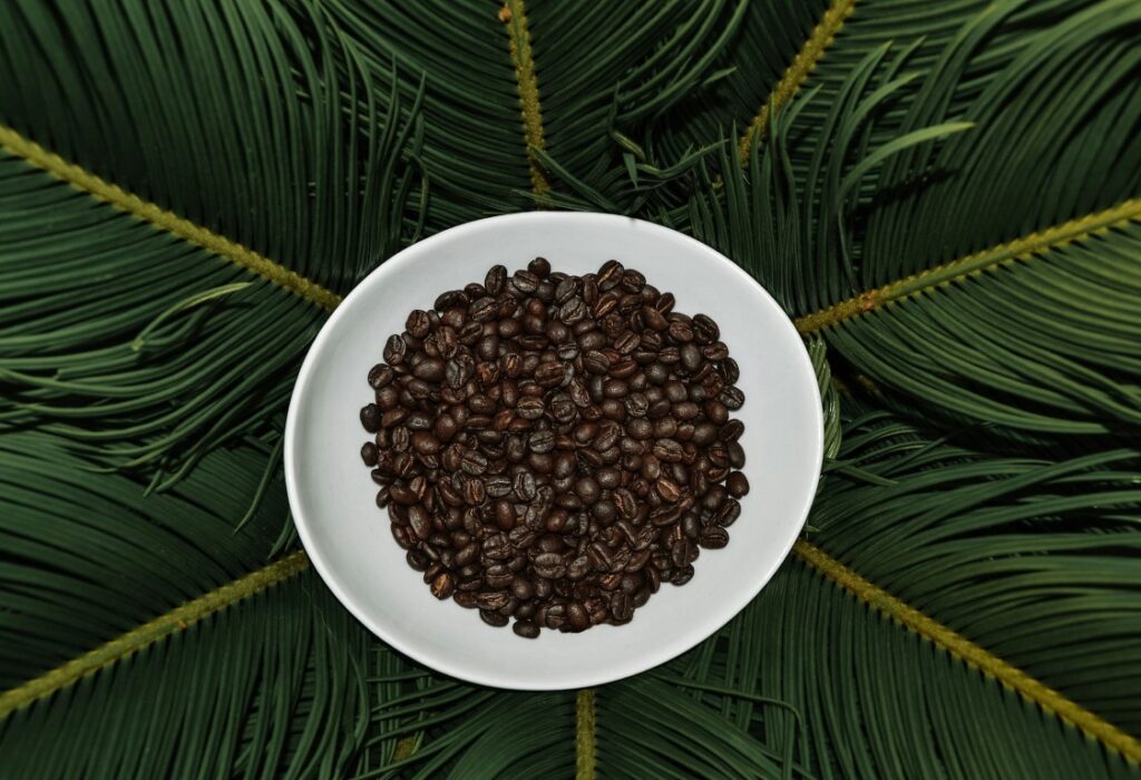 coffee bean