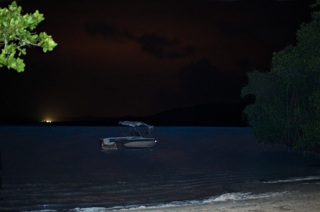 mosquito bay puerto rico