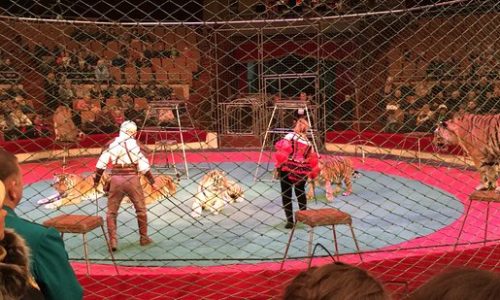 3. Kharkiv State Circus